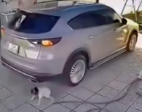 CA vào cuộc vụ bé gái 15 tháng tuổi bị ô tô lùi xe c:án t:uvo*g: Chuyến này mệt mỏi rồi.